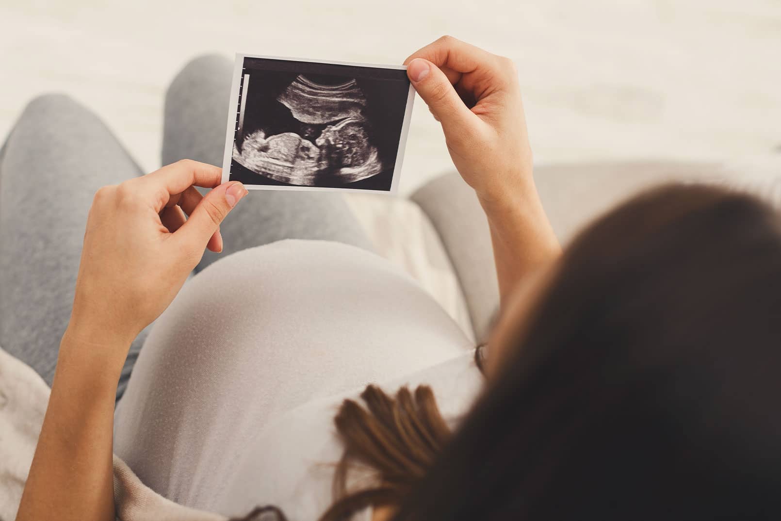 Comment l’embryon se développe-t-il ? | Fentes Palatines | Toulouse